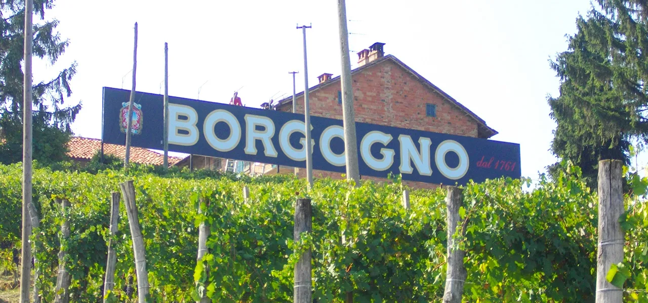 Insegna Aziendale di Grande Dimensione - Vigneto Borgogno - Sunrise Insegne